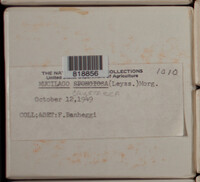 Image Associated With the Occurence